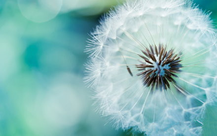 如何理解品牌策劃公司的企業文化