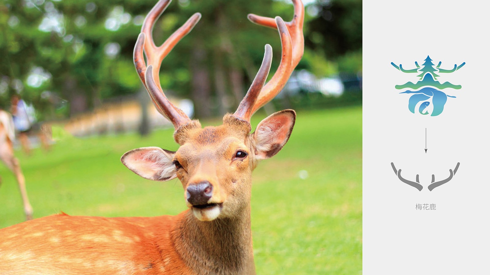 企業整套vi設計價格值不值？