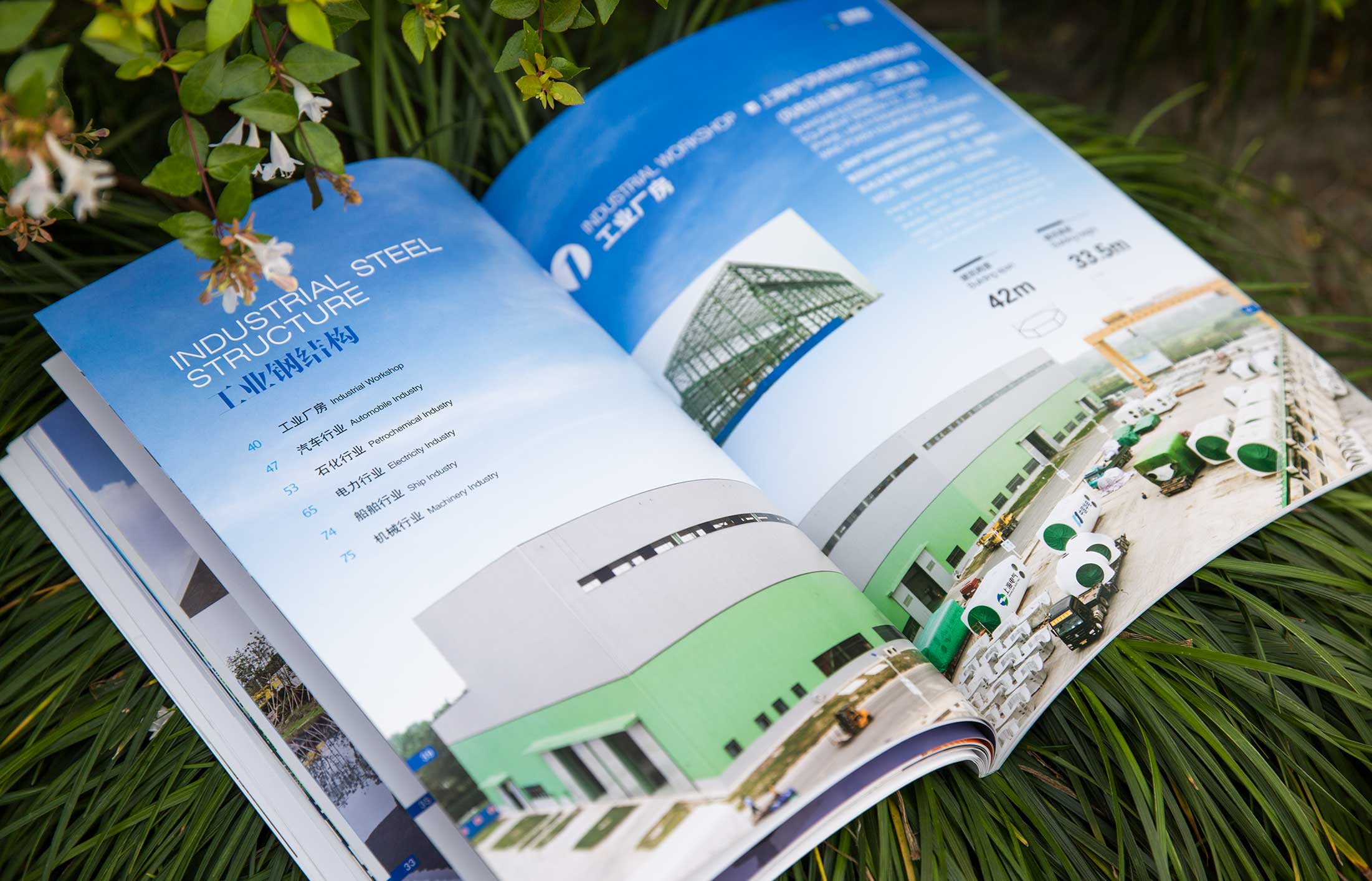 1611211620766177.jpg 33293940.JPG