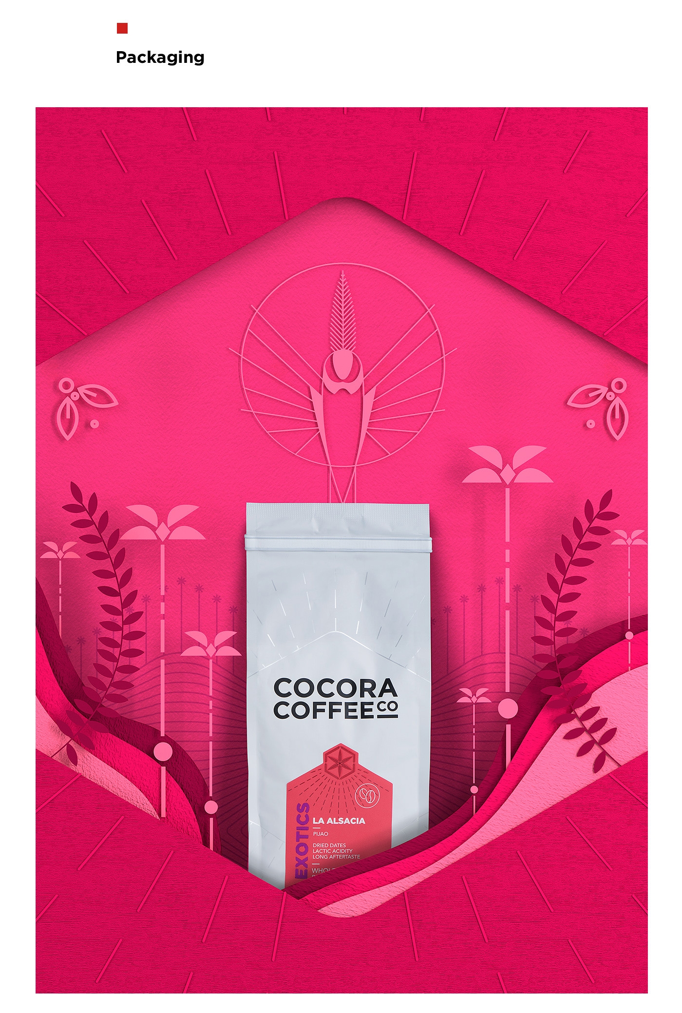 為一個咖啡杯，一個街角咖啡店，做整體的品牌包裝設(shè)計