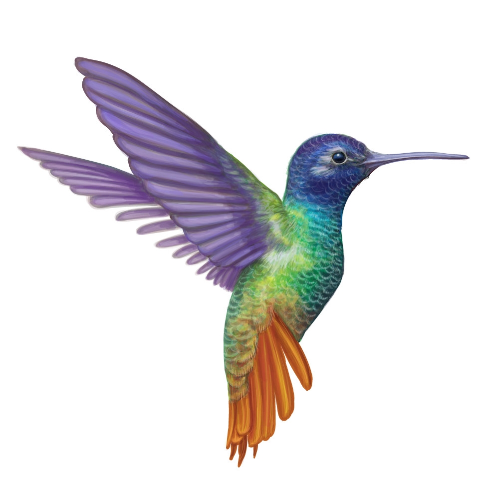 自然界野生動物來體現化妝品的純天然—護膚品包裝設計