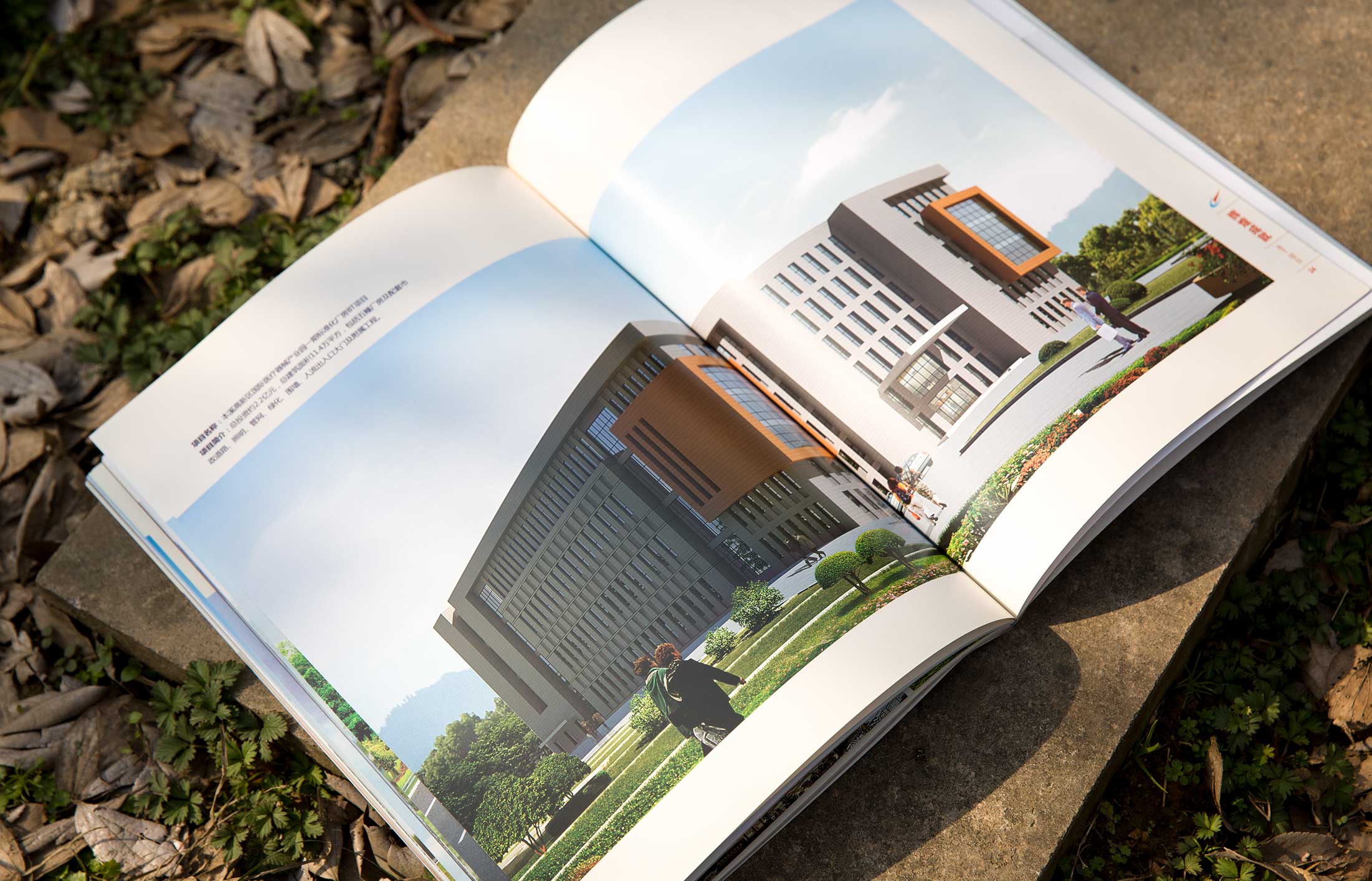 長業控股集團畫冊